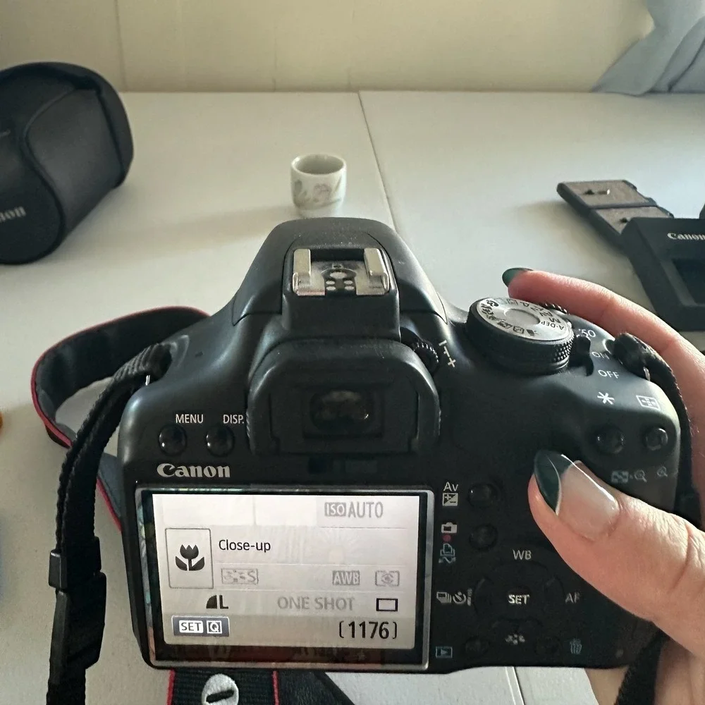Canon EOS Rebel T1i (EOS 500D) Digital SLR Camera EF-S 18-55mm f/3.5-5.6 IS lens